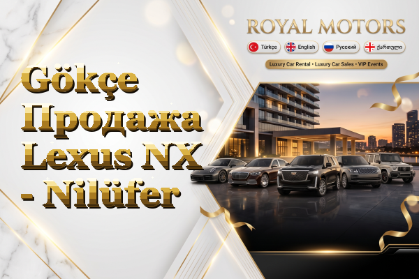 Gökçe Продажа Lexus NX - Nilüfer