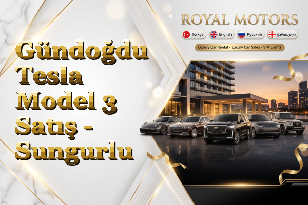 Gündoğdu Tesla Model 3 Satış - Sungurlu