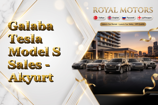 Galaba Tesla Model S Sales - Akyurt