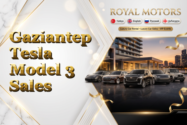 Gaziantep Tesla Model 3 Sales