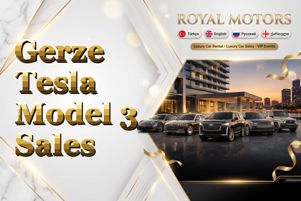 Gerze Tesla Model 3 Sales