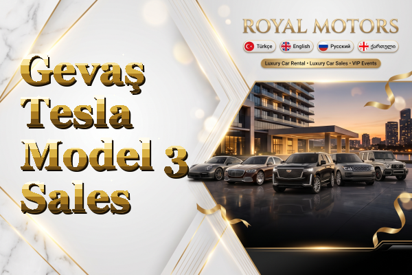 Gevaş Tesla Model 3 Sales
