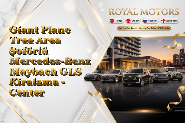 Giant Plane Tree Area Şoförlü Mercedes-Benz Maybach GLS Kiralama - Center
