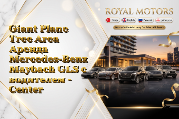 Giant Plane Tree Area Аренда Mercedes-Benz Maybach GLS с водителем - Center