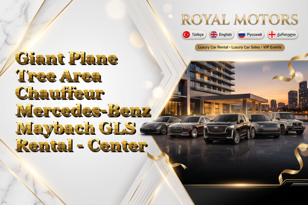 Giant Plane Tree Area Chauffeur Mercedes-Benz Maybach GLS Rental - Center