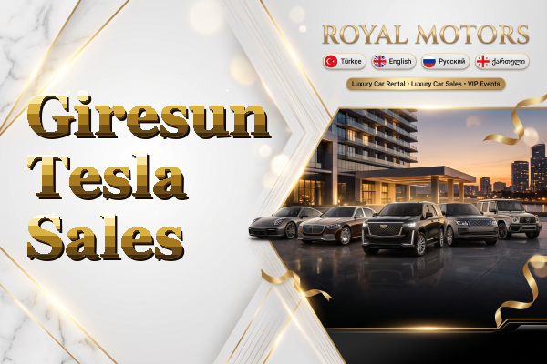 Giresun Tesla Sales