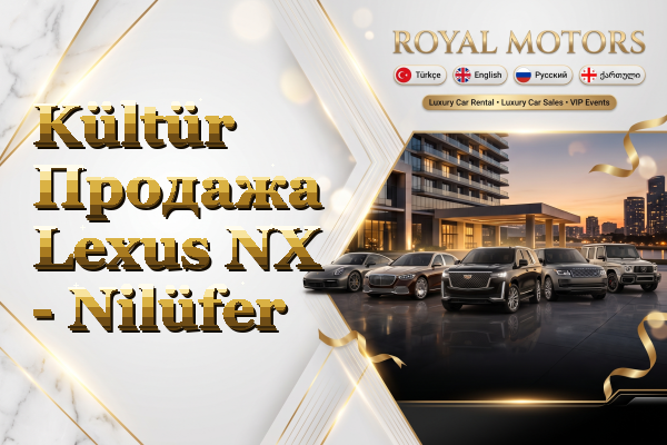 Kültür Продажа Lexus NX - Nilüfer