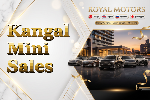 Kangal Mini Sales