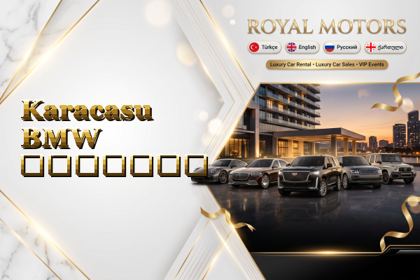 Karacasu BMW გაყიდვა