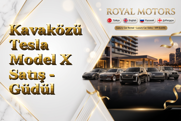 Kavaközü Tesla Model X Satış - Güdül