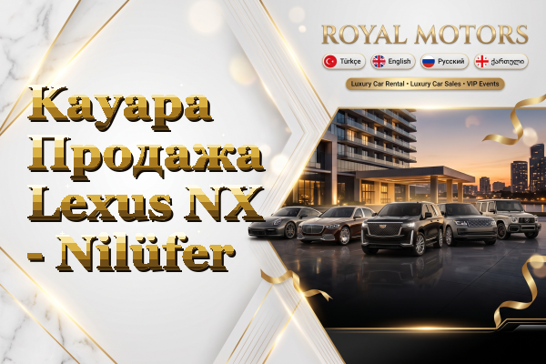 Kayapa Продажа Lexus NX - Nilüfer