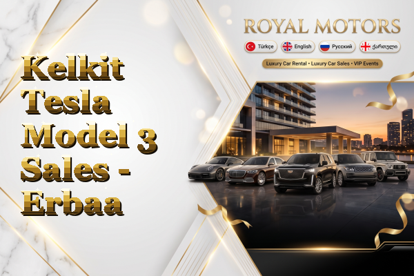 Kelkit Tesla Model 3 Sales - Erbaa