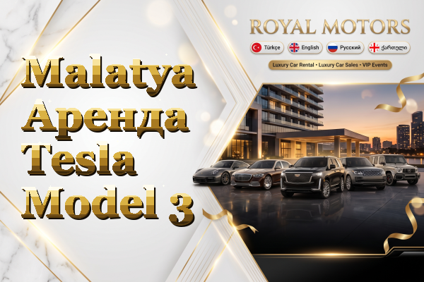 Malatya Аренда Tesla Model 3