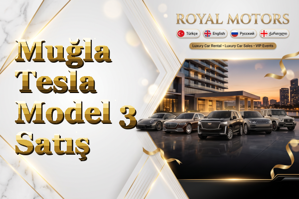 Muğla Tesla Model 3 Satış