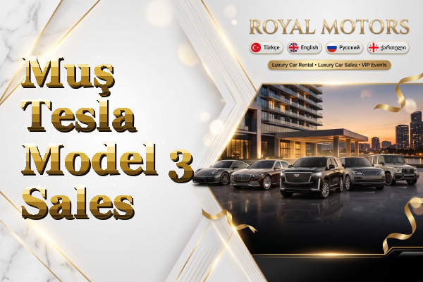Muş Tesla Model 3 Sales