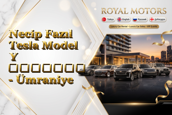 Necip Fazıl Tesla Model Y გაყიდვა - Ümraniye