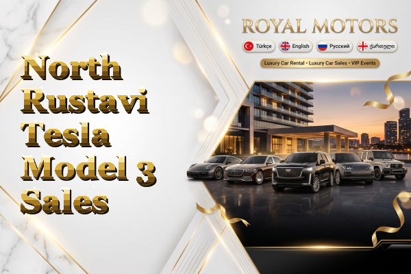North Rustavi Tesla Model 3 Sales