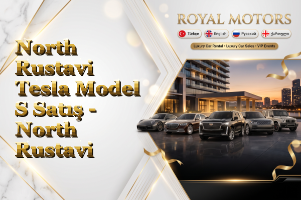 North Rustavi Tesla Model S Satış - North Rustavi