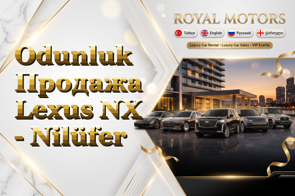 Odunluk Продажа Lexus NX - Nilüfer