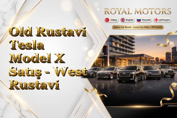 Old Rustavi Tesla Model X Satış - West Rustavi