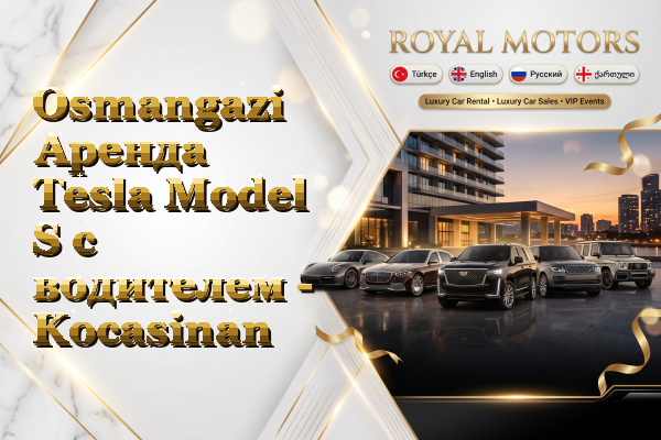 Osmangazi Аренда Tesla Model S с водителем - Kocasinan