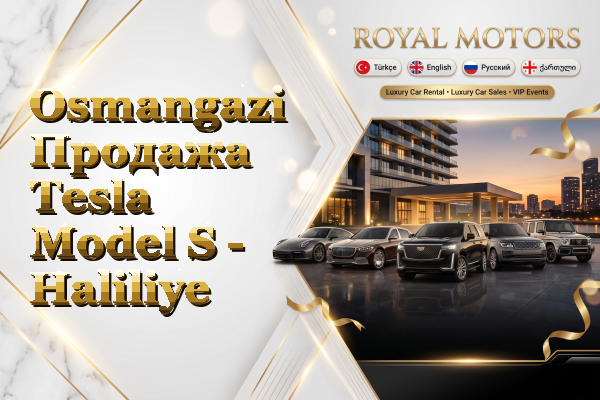 Osmangazi Продажа Tesla Model S - Haliliye