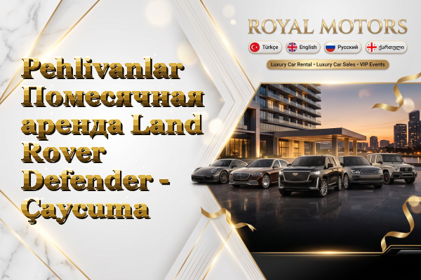 Pehlivanlar Помесячная аренда Land Rover Defender - Çaycuma