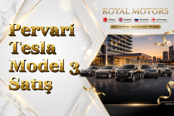 Pervari Tesla Model 3 Satış