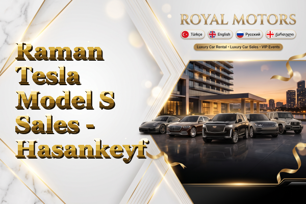 Raman Tesla Model S Sales - Hasankeyf