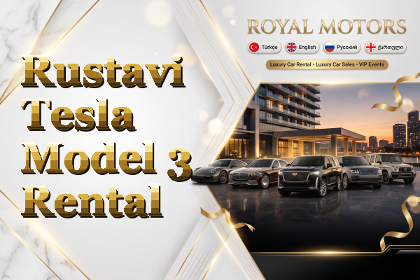 Rustavi Tesla Model 3 Rental