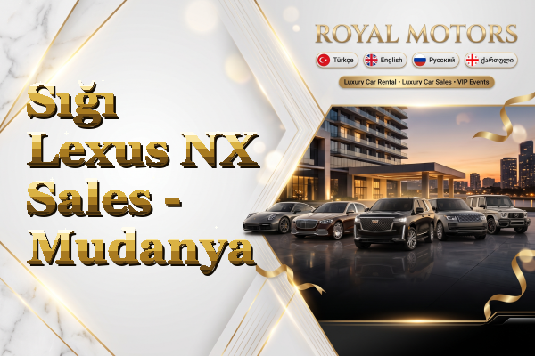 Sığı Lexus NX Sales - Mudanya