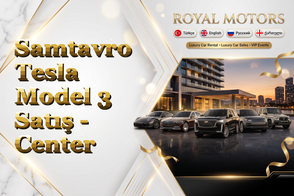 Samtavro Tesla Model 3 Satış - Center
