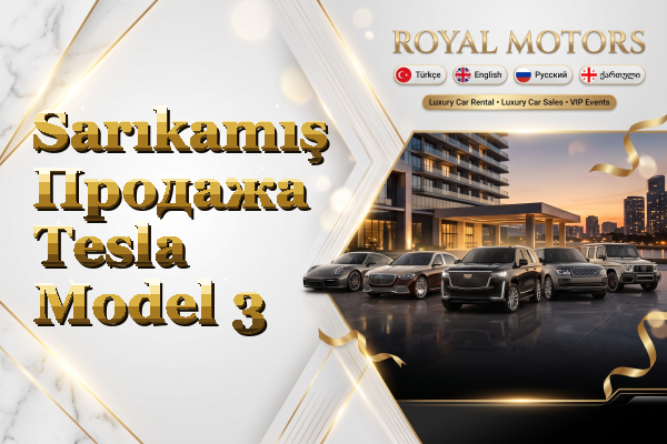 Sarıkamış Продажа Tesla Model 3