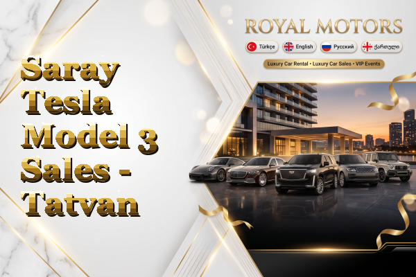 Saray Tesla Model 3 Sales - Tatvan