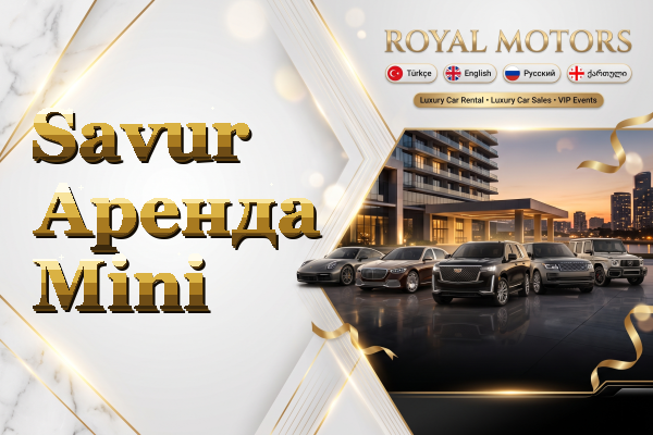 Savur Аренда Mini