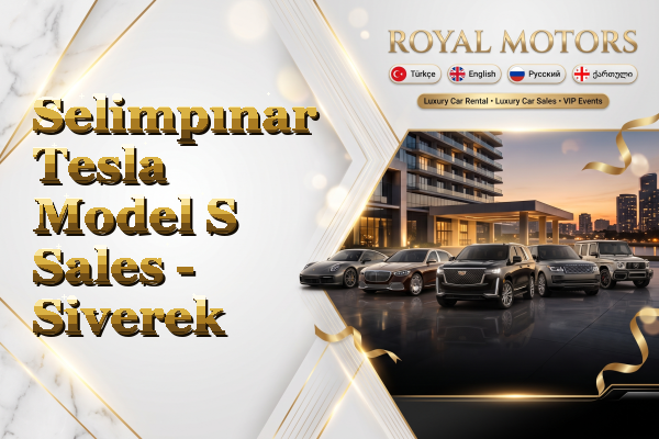 Selimpınar Tesla Model S Sales - Siverek