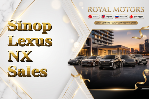 Sinop Lexus NX Sales