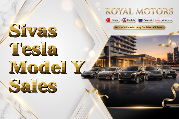 Sivas Tesla Model Y Sales