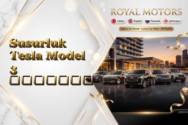 Susurluk Tesla Model 3 გაყიდვა