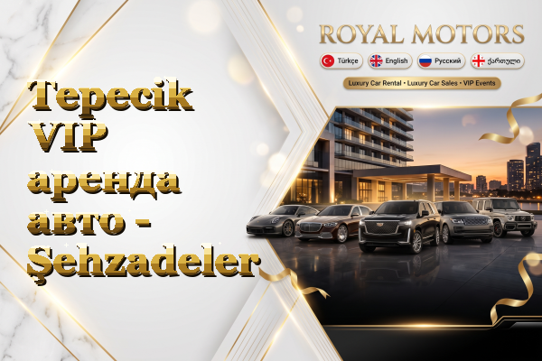 Tepecik VIP аренда авто - Şehzadeler