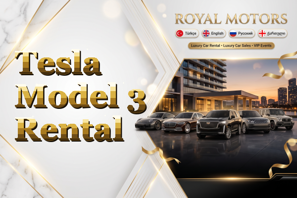 Tesla Model 3 Rental