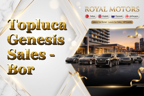 Topluca Genesis Sales - Bor