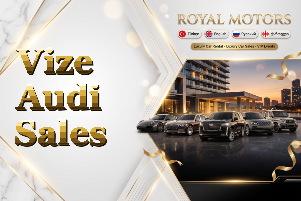 Vize Audi Sales