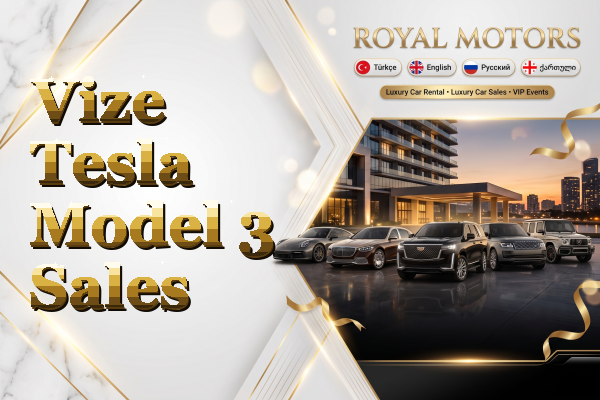 Vize Tesla Model 3 Sales
