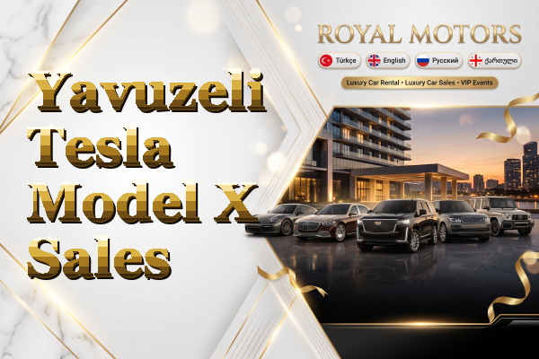 Yavuzeli Tesla Model X Sales