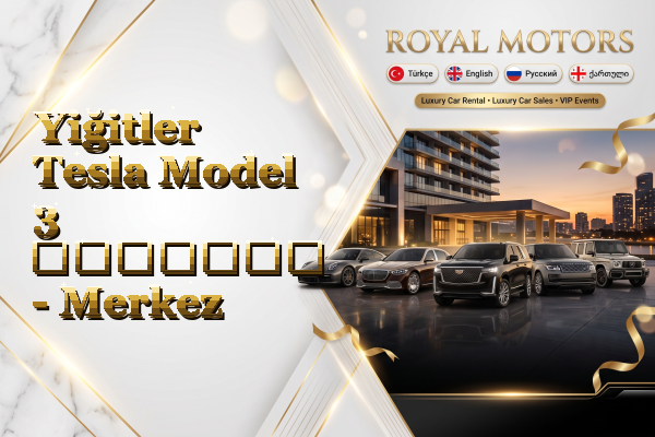 Yiğitler Tesla Model 3 გაყიდვა - Merkez