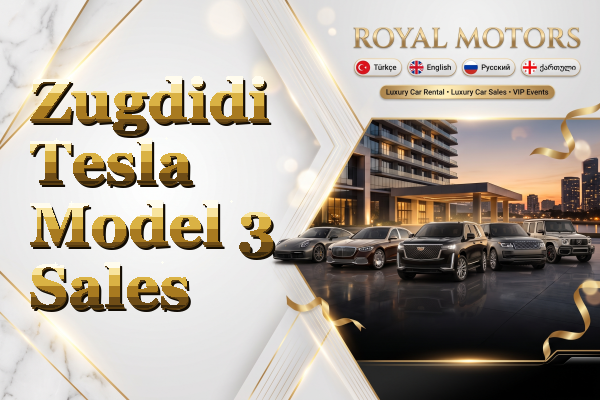 Zugdidi Tesla Model 3 Sales